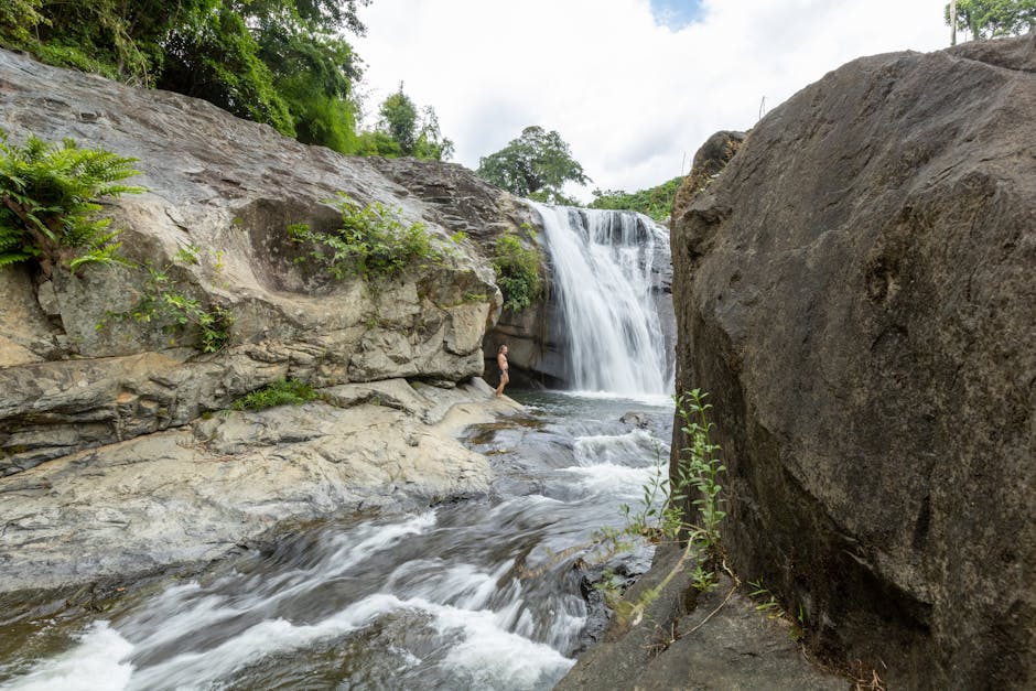 ツヨぽん tweet media