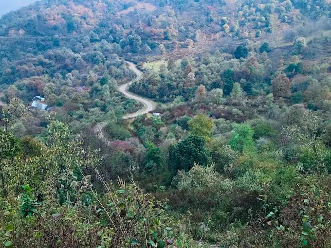 ExploreNagaland's tweet photo. #Nagaland: Doyang Wildlife Division, control room inaugurated to tackle human-elephant conflict

 #WildlifeConservation #HumanElephantConflict #Environment #NortheastIndia

https://t.co/I6F9V4uHB2 https://t.co/v5j8zA7NjZ