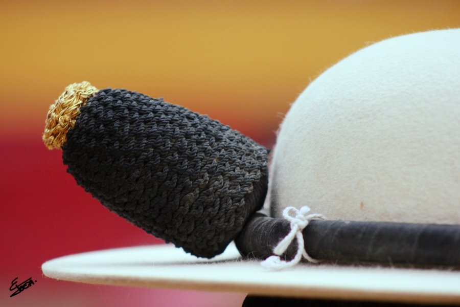 Mundo Toca tweet media