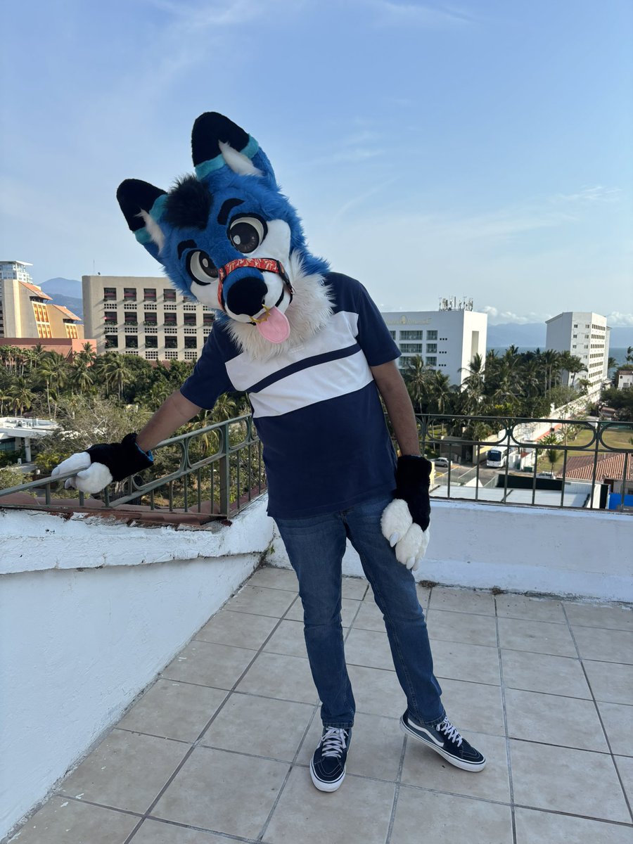 SpeedFire28's tweet photo. Happy #fursuitFriday , I needed this vacation uwu https://t.co/V1qPQi916V