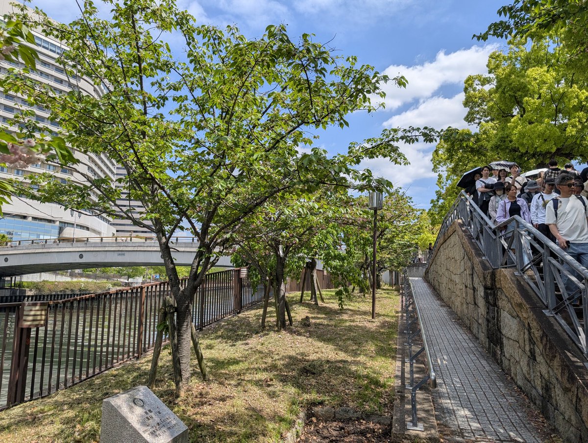 ねこま tweet media