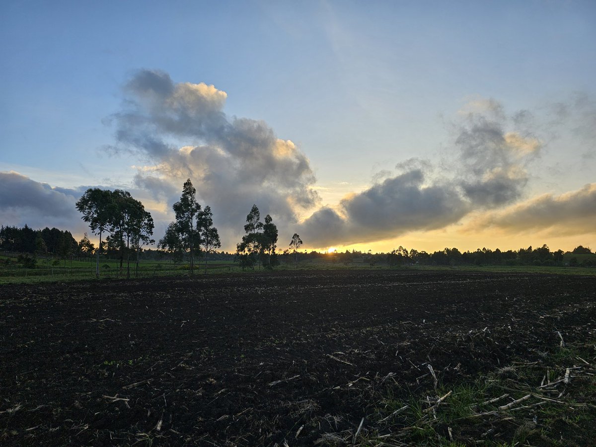 Magnet O. Rotich tweet media