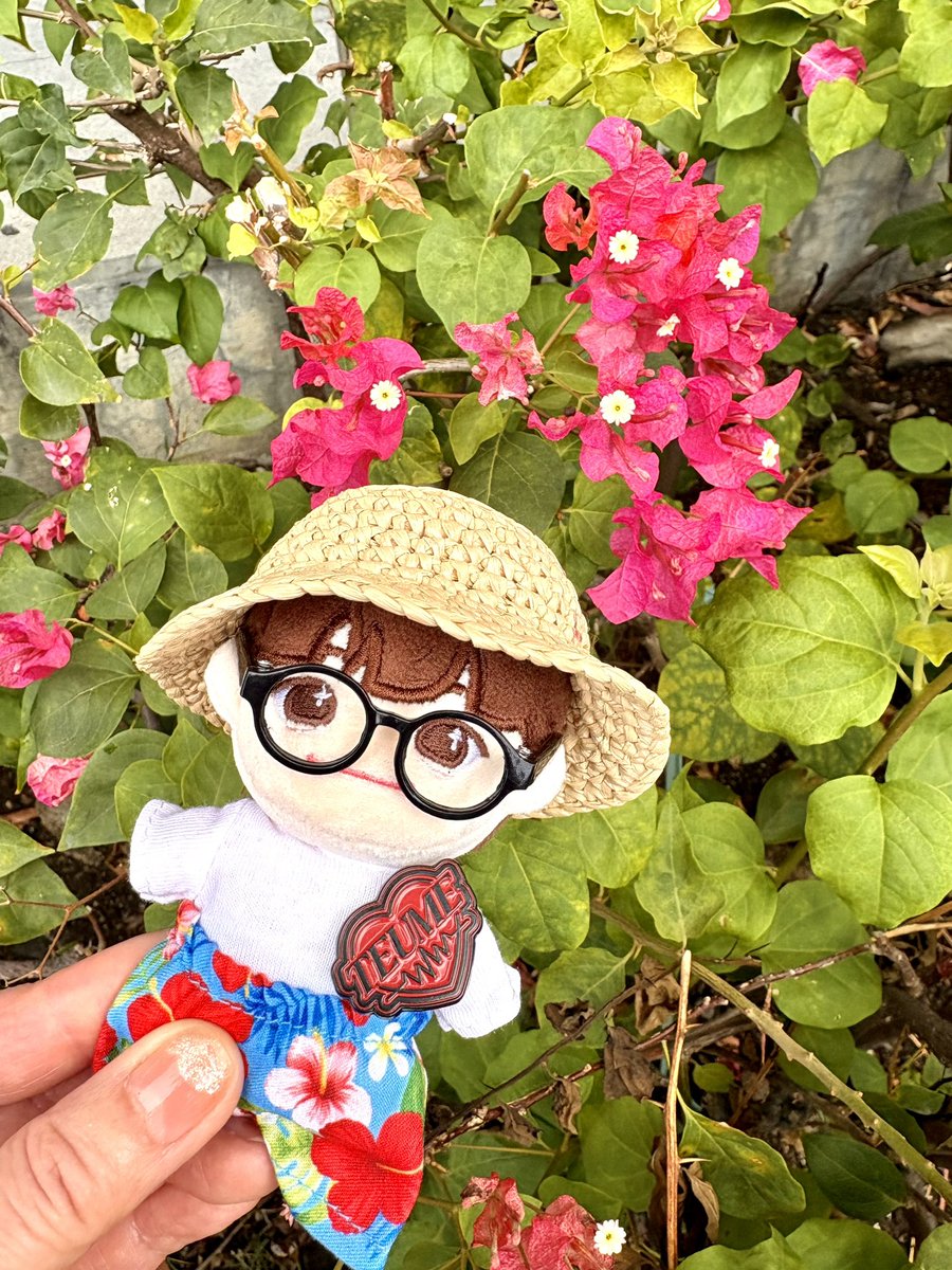 ユルル🌼 tweet media