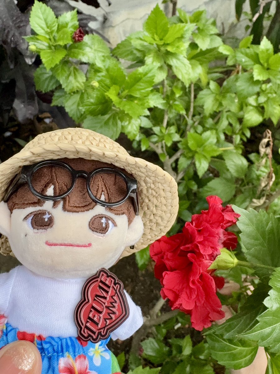 ユルル🌼 tweet media