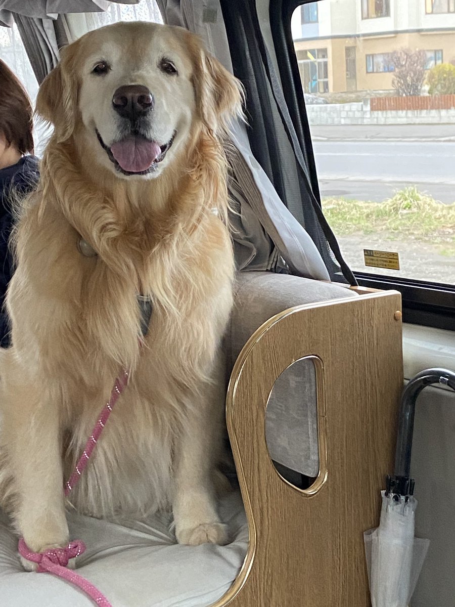 のあぱぱ ・そして ・むぎ tweet media