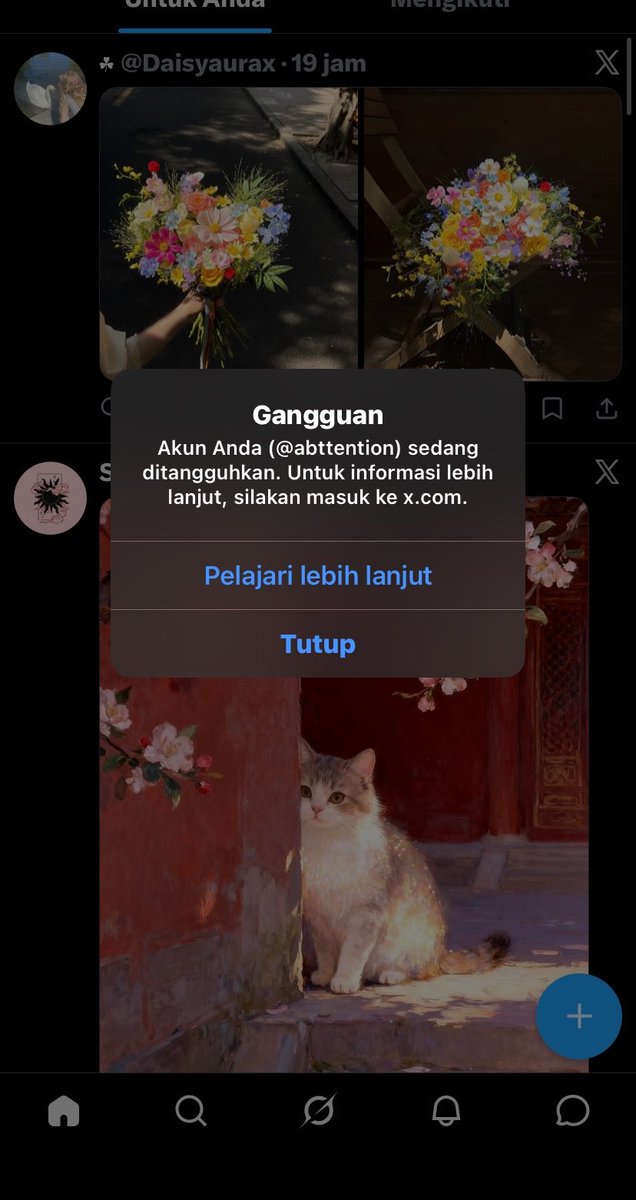 sa ⋆. 𐙚 ̊ - mt after dm tweet media