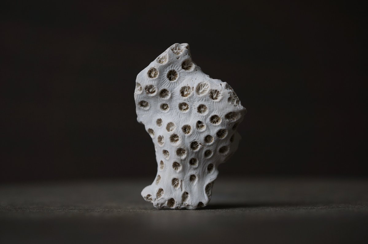 叙景 jokei 鉱物 / 風景石 / 化石 /水石 tweet media