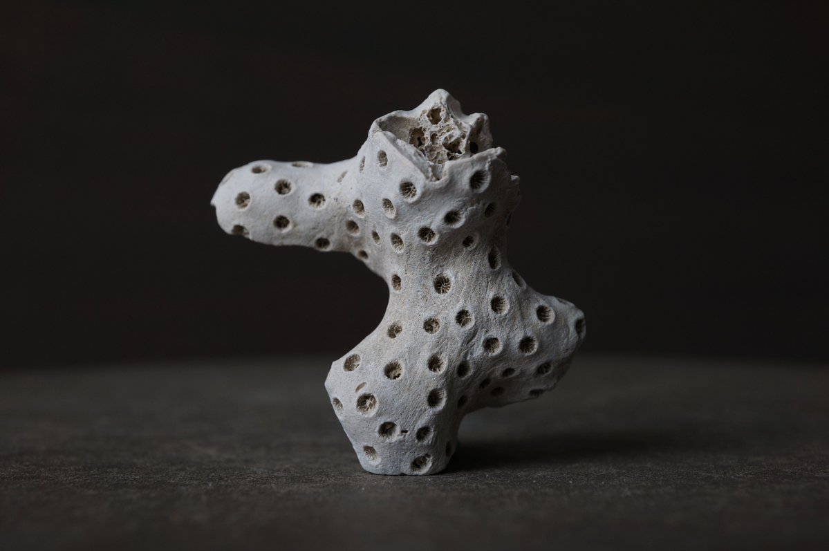 叙景 jokei 鉱物 / 風景石 / 化石 /水石 tweet media