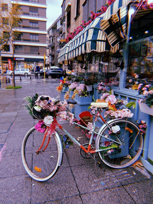 Molly Lewis tweet media