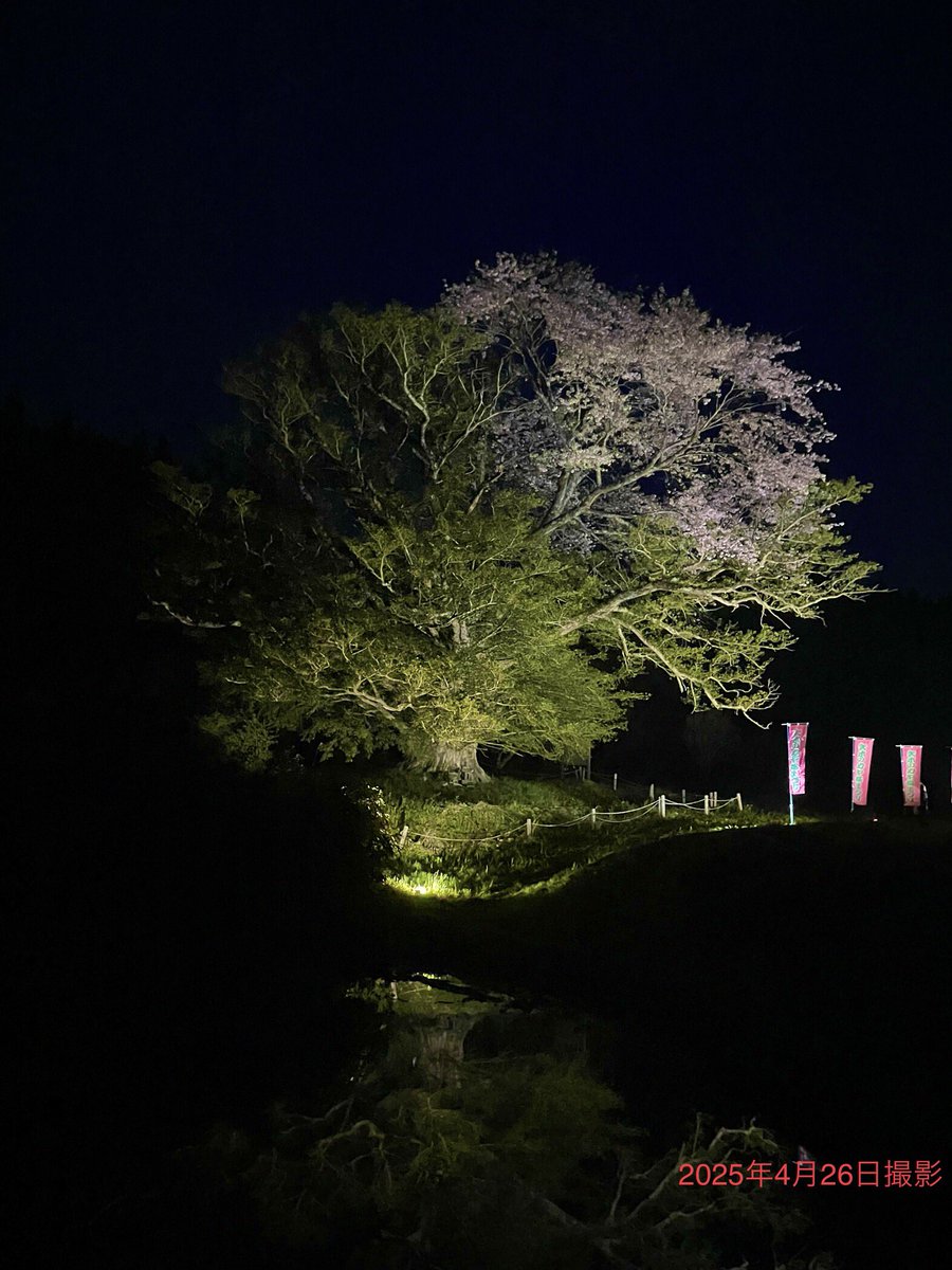 あ・ら・伊達な道の駅【公式】 tweet media