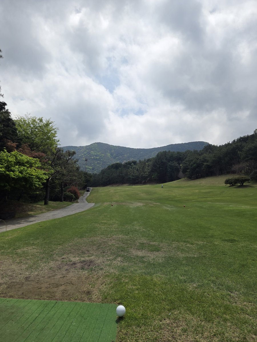 ばしくん tweet media