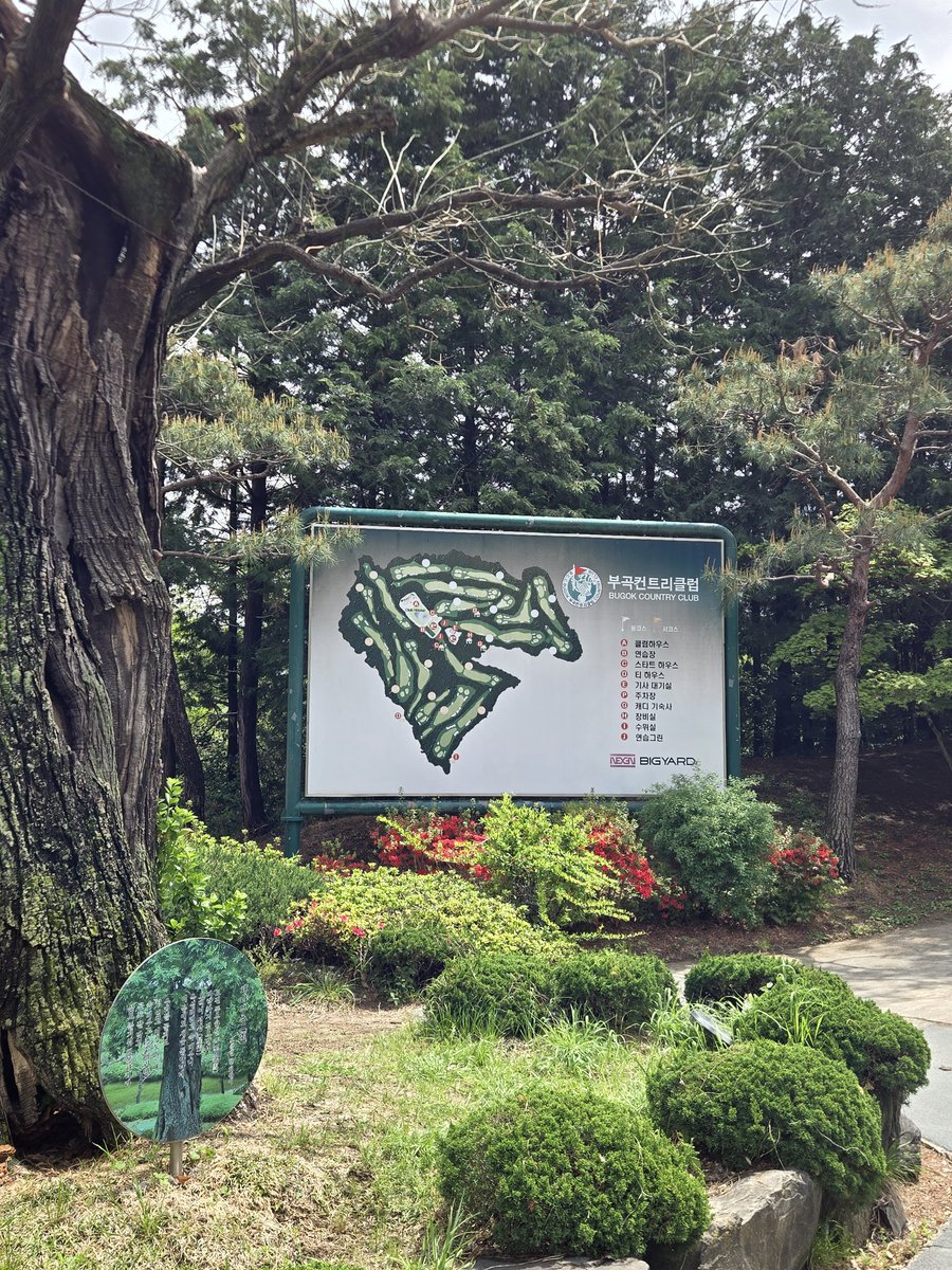 ばしくん tweet media