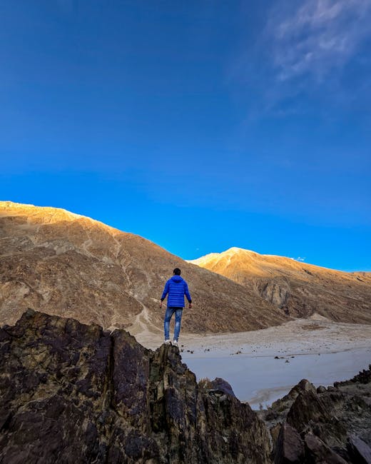 Joseph Stone tweet media