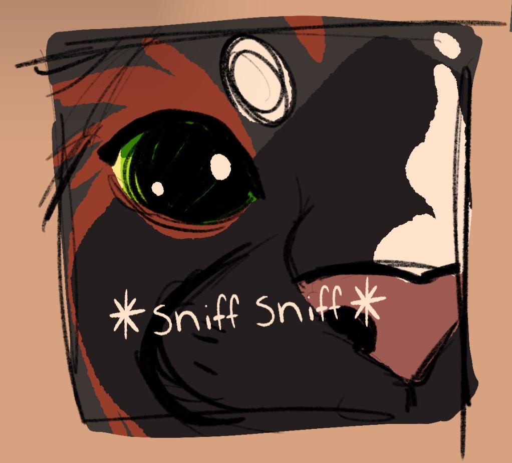 Saeflin @ bsky tweet media