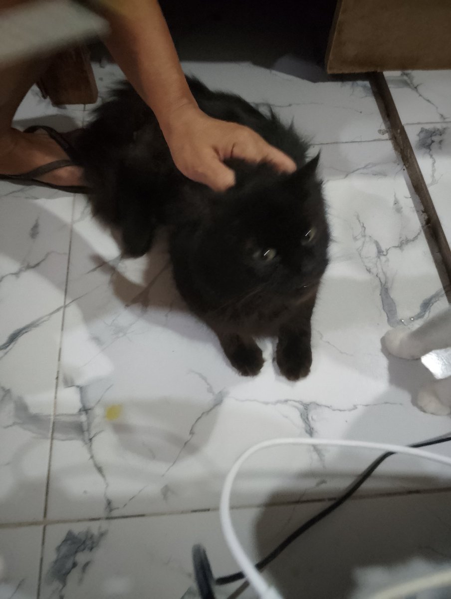 56_SBRTSquad🍎 tweet media