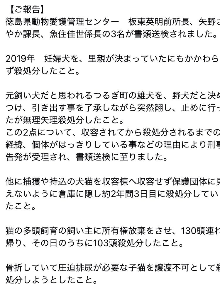 まろちゃん tweet media