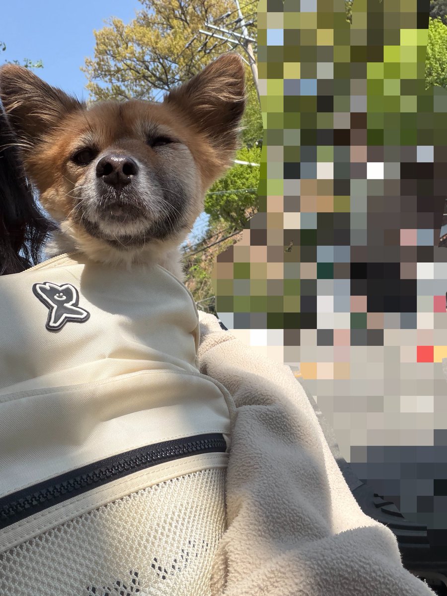 김자라 tweet media