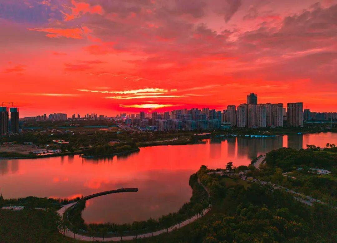 ياسر البابلي  tweet media