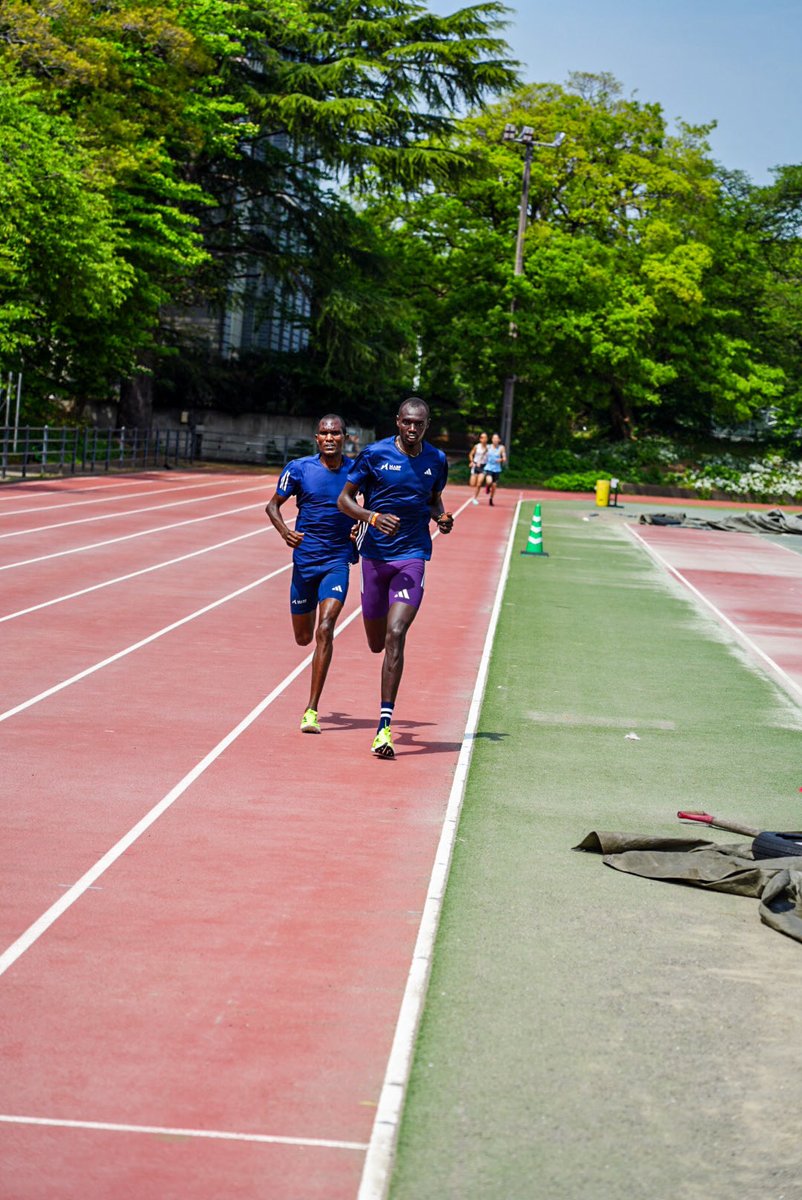 神野大地 Daichi Kamino tweet media