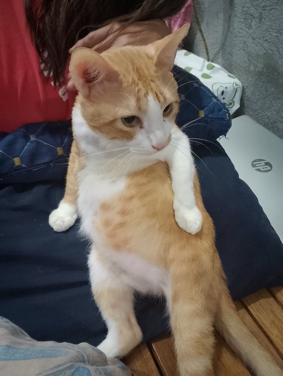 56_SBRTSquad🍎 tweet media