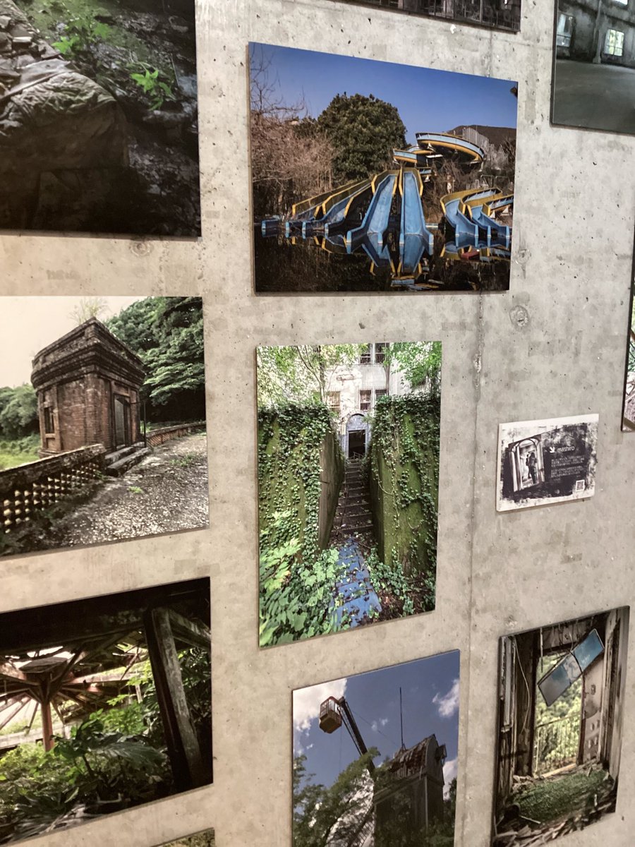 TODAYS GALLERY STUDIO.公式(TOKYO & NAGOYA) tweet media