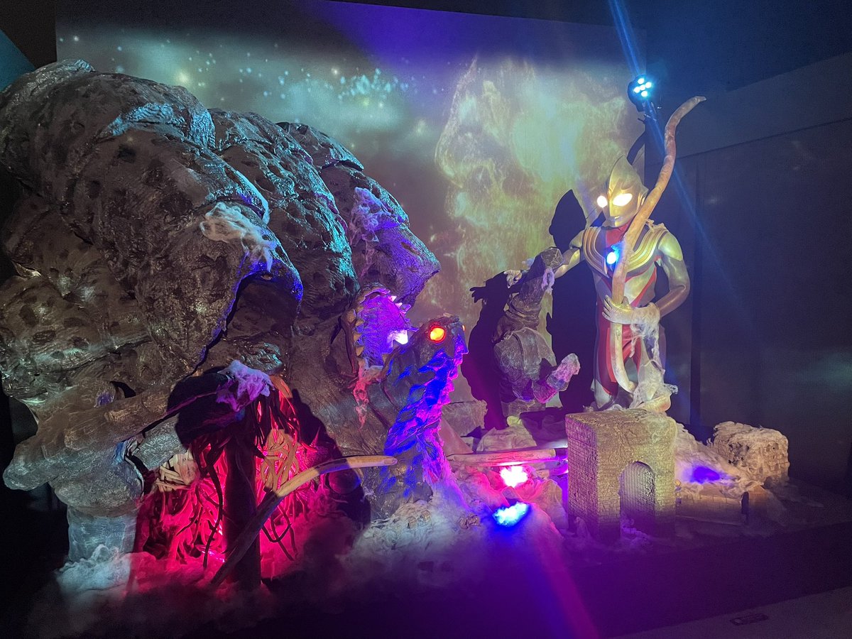 みのるん🧬🌟 tweet media