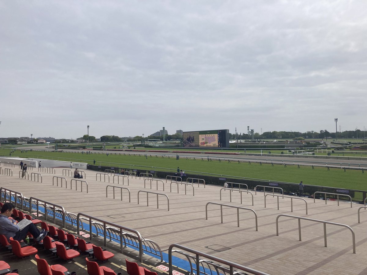 笛ちゃん tweet media