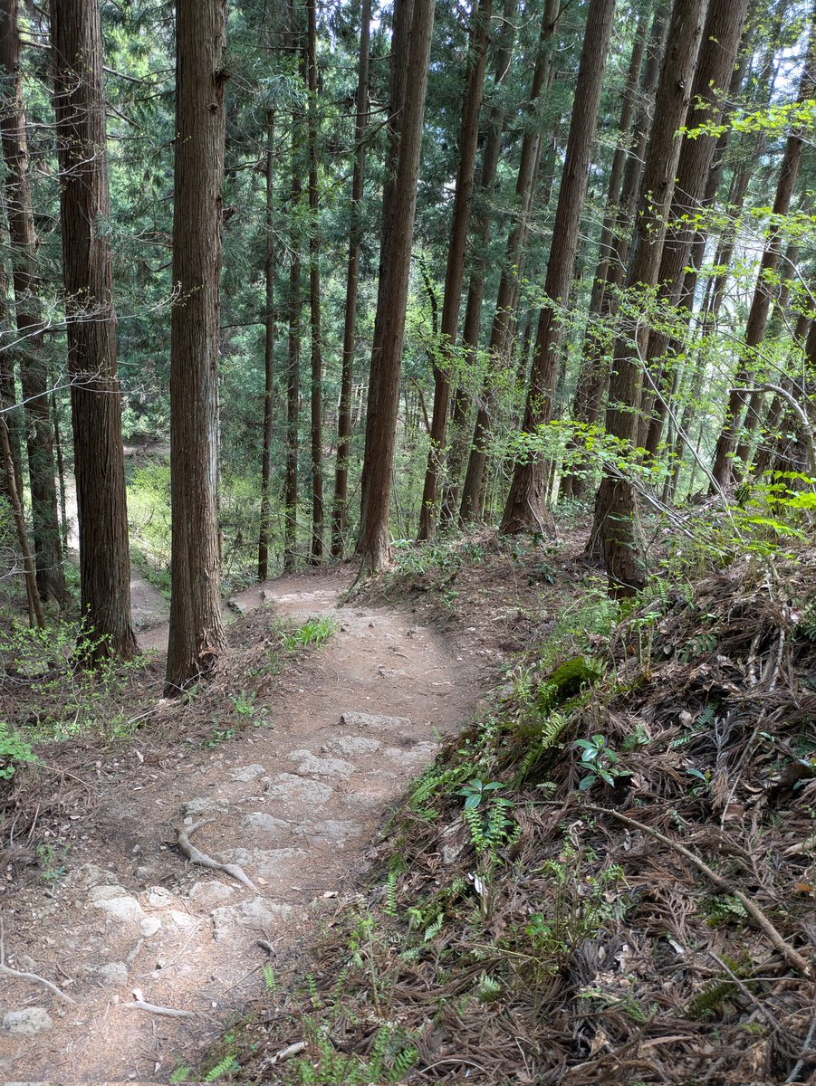 ｼﾞｬｯｷｰ☆🐱 tweet media