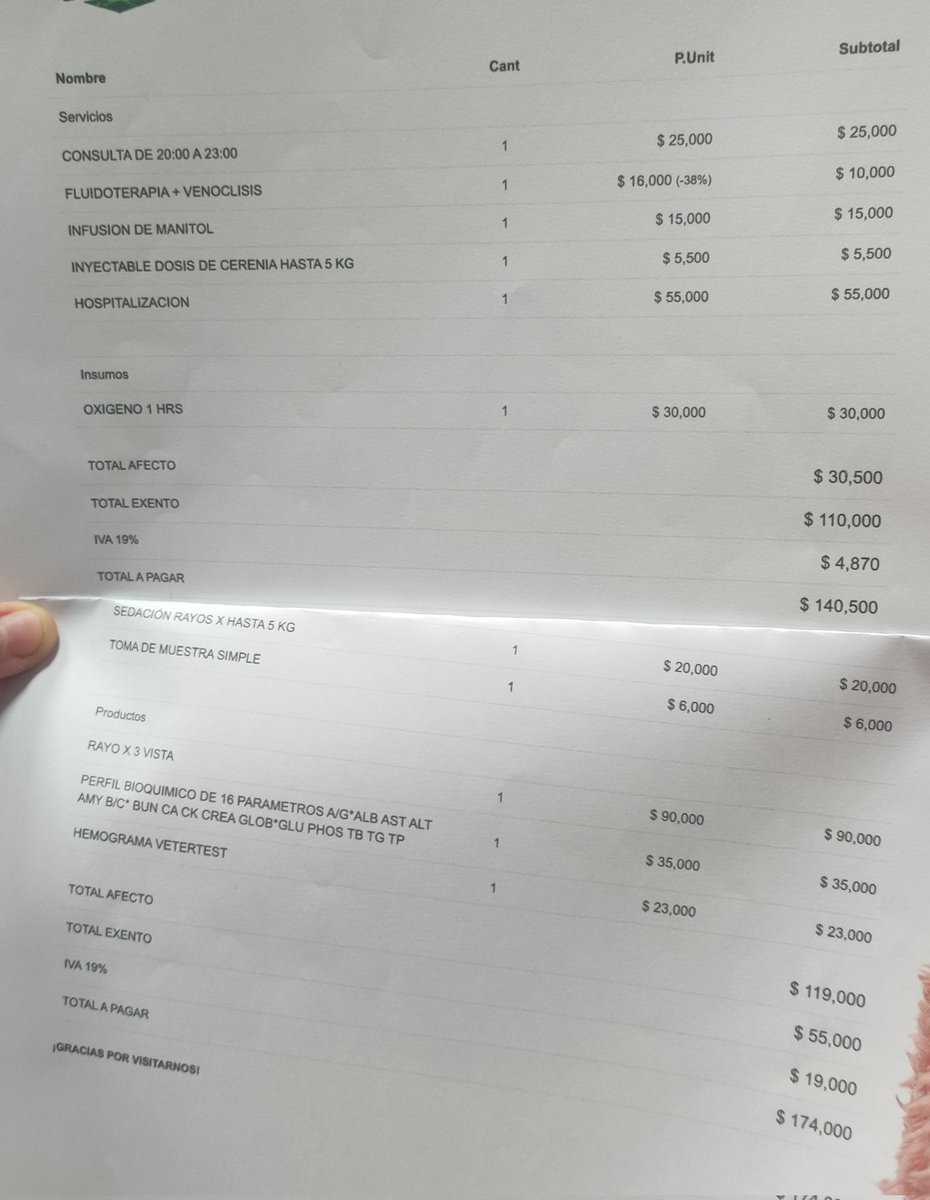 mon 🫐 tweet media