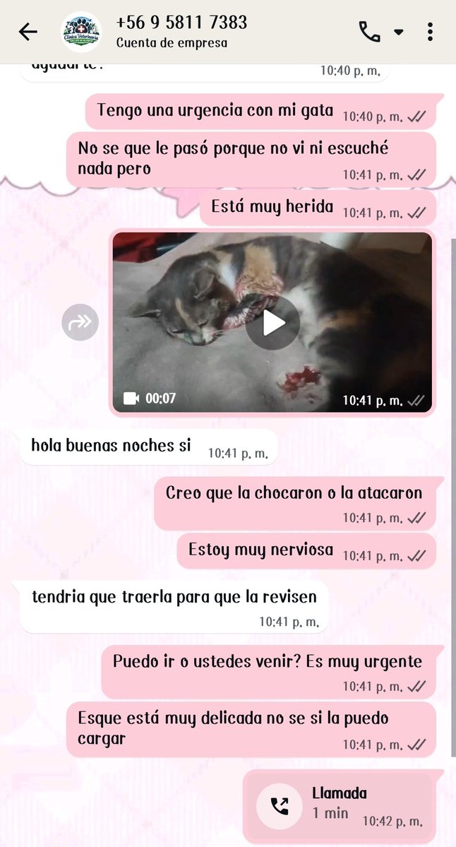 mon 🫐 tweet media