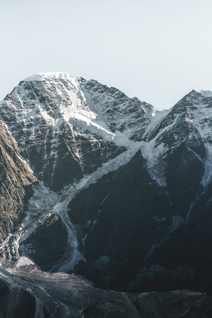 Angela Le tweet media