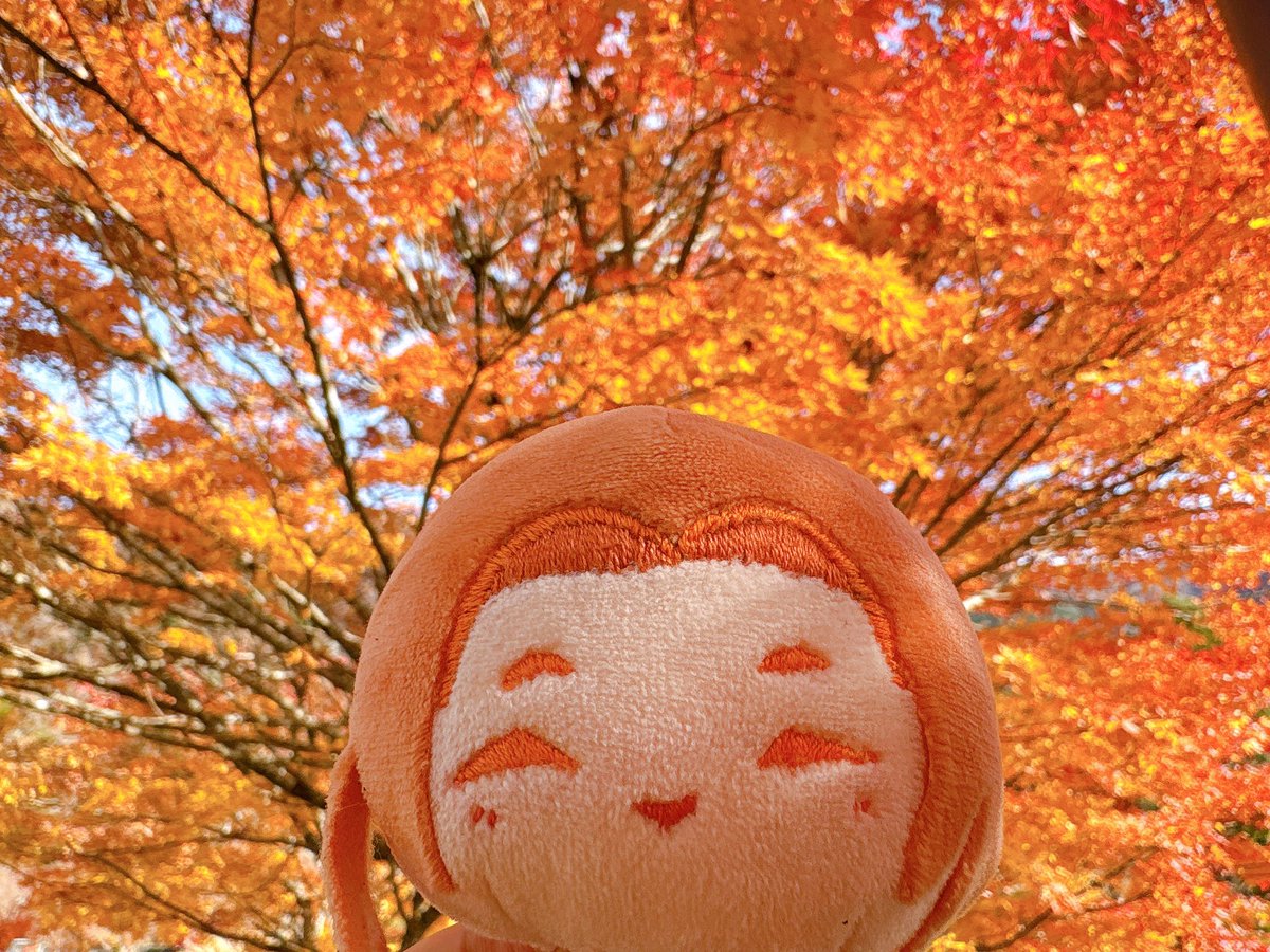 風太 tweet media