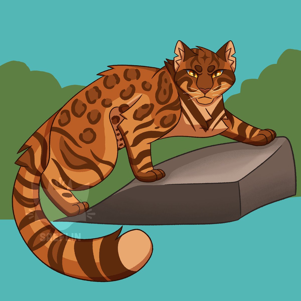 Saeflin @ bsky tweet media