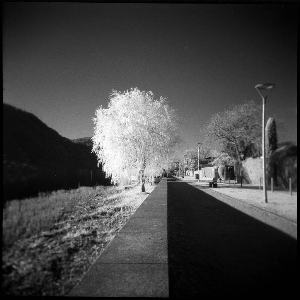 artlimitednet's tweet image. Sun, light, spring by Pierre Pellegrini artlimited.net/11524
#lake #blackandwhitephotography #longexposurephotography #analogphotography #longexposure_shots #film #landscapeart #blackwhite #bnwphotos #waterscape #filmphotography #landscape #group6x6 #river #nature…