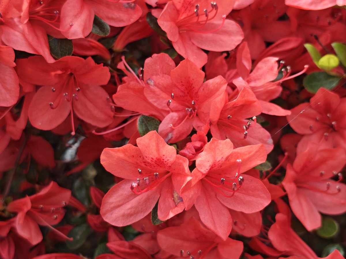 Julia 📖🗺️ tweet media