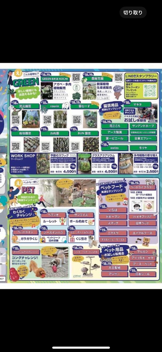 苔むーす【KOKEmousse】高知 苔作家 tweet media