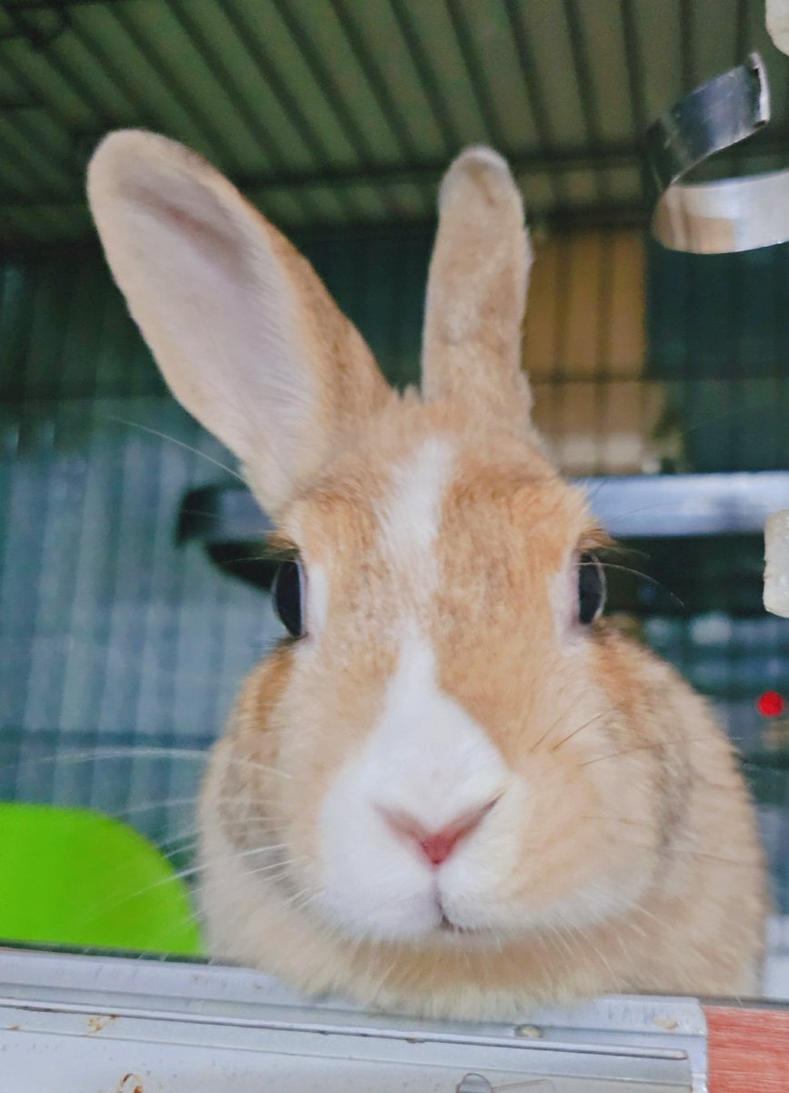 뒹굴보노 tweet media