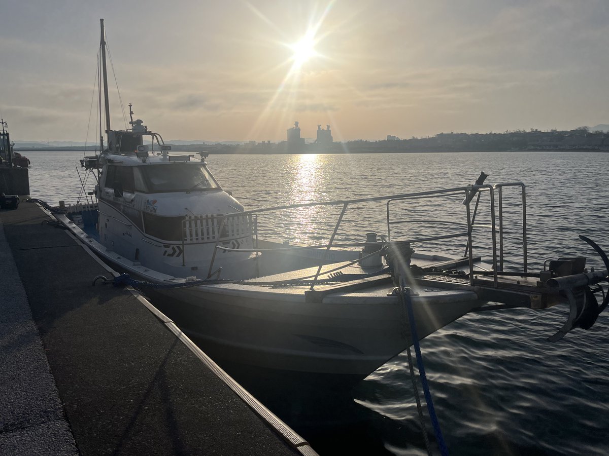 Esorafishing's tweet image. 太平洋が荒れ荒れなので日本海へエスケープ🏃💨

シマノさんも取材でも訪れた海龍丸さんにお世話になりました🛥️

水深約100mの30~50m浮いてる中層のマダイを早巻きで釣るのはテクニカルでめちゃくちゃ面白かったですね😆😆😆

ありがとうございました🙇‍♂️

タイガーバクバク×ゲキアツカーリー

#SHIMANO