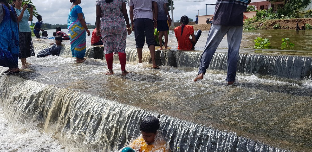 senthil_sama's tweet photo. @BharathiAmmal @DISTRICTCPT It's the same place in earlier years. Can't bear to see how bad the water bodies are maintained, despite all the taxes being collected. https://t.co/SQswQZrZpt