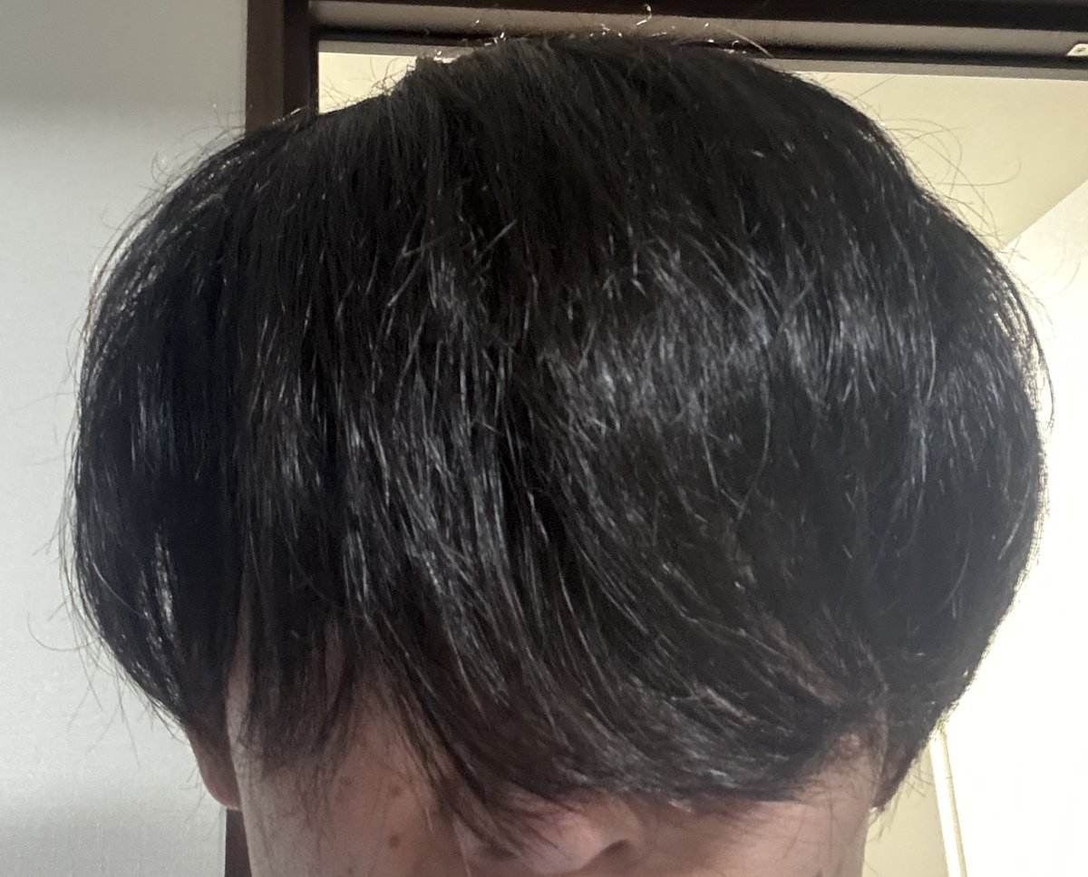 🦈あずま🦈 tweet media