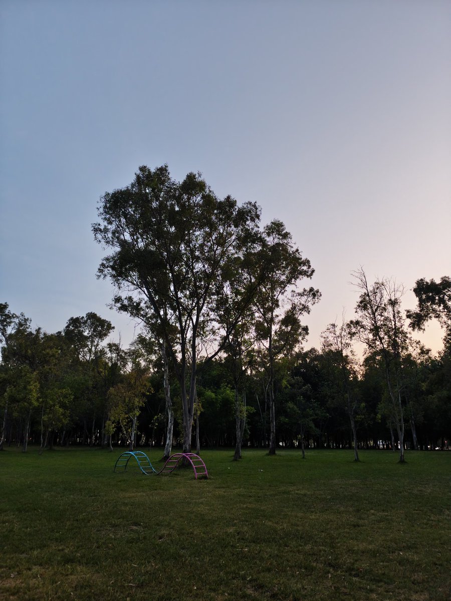 Datos Aeronáuticos ◽ tweet media