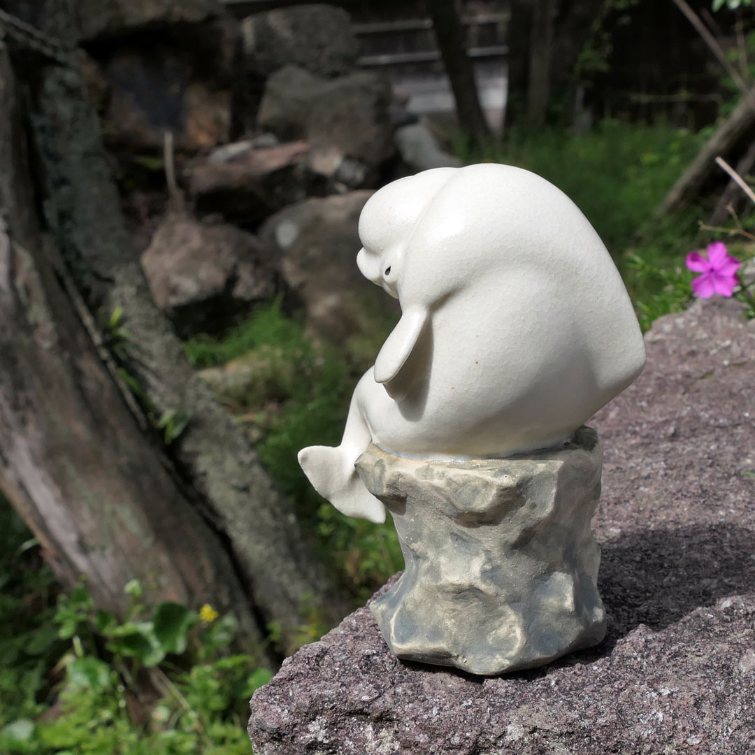 セラミミック tweet media