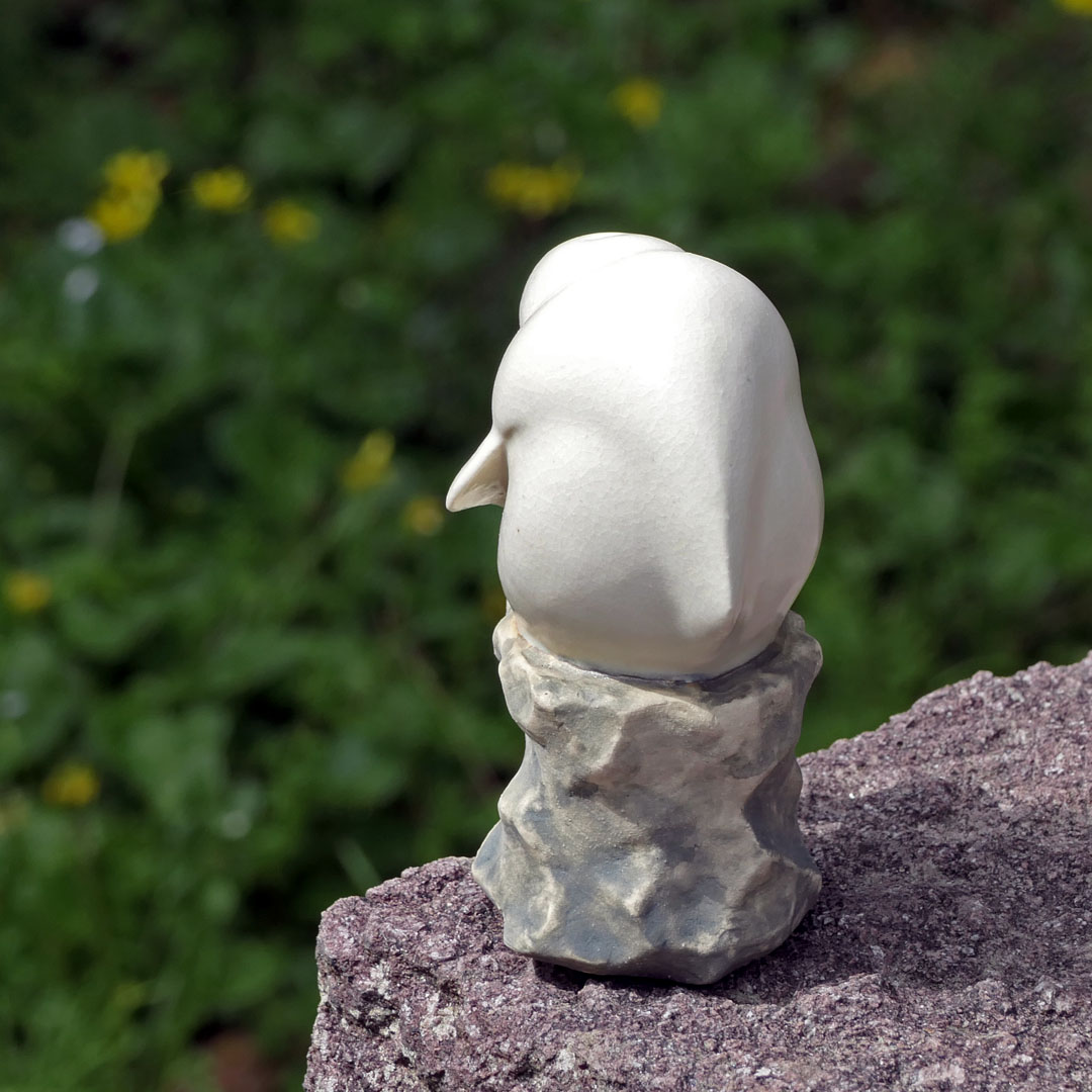 セラミミック tweet media