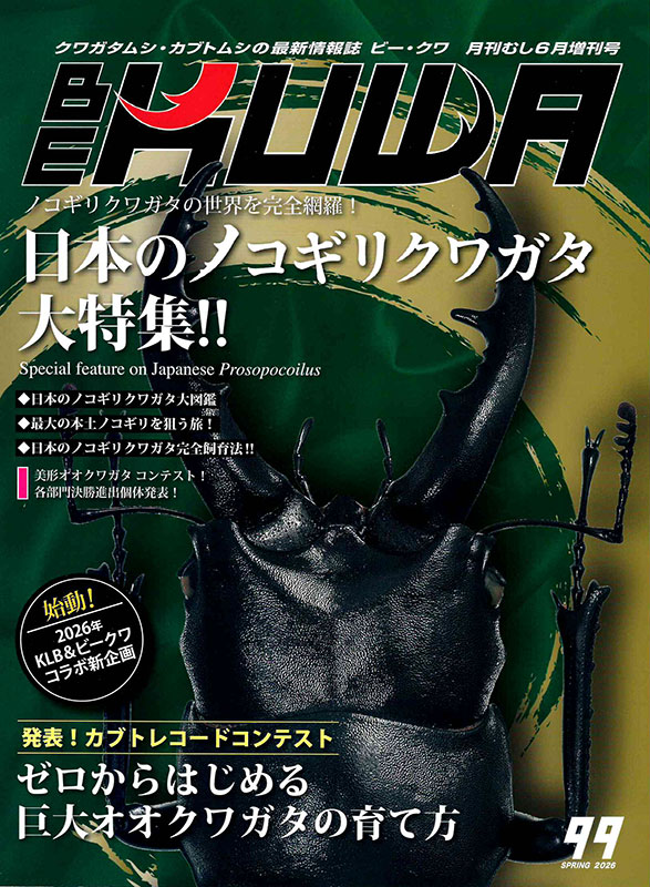 ___NESiA___'s tweet photo. BE・KUWA（ビークワ）No.99 販売中！
https://t.co/NALMuWJnrx https://t.co/7ksJ7KYbCl