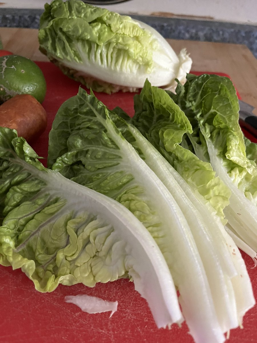 Agent99c's tweet image. Sometimes I feel lazy. Saturday lunch #lazy #easy #saturday #sunny #lunch