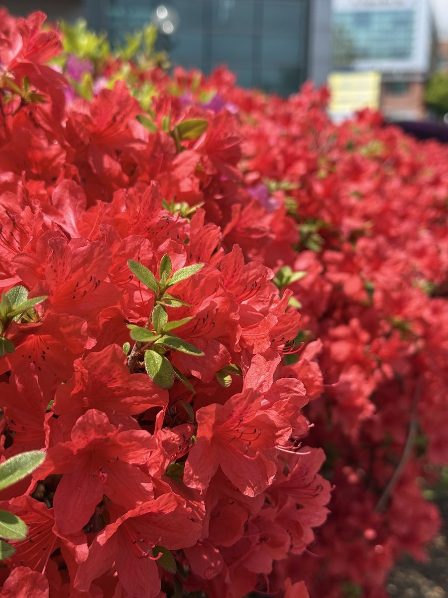 성브로맘 tweet media