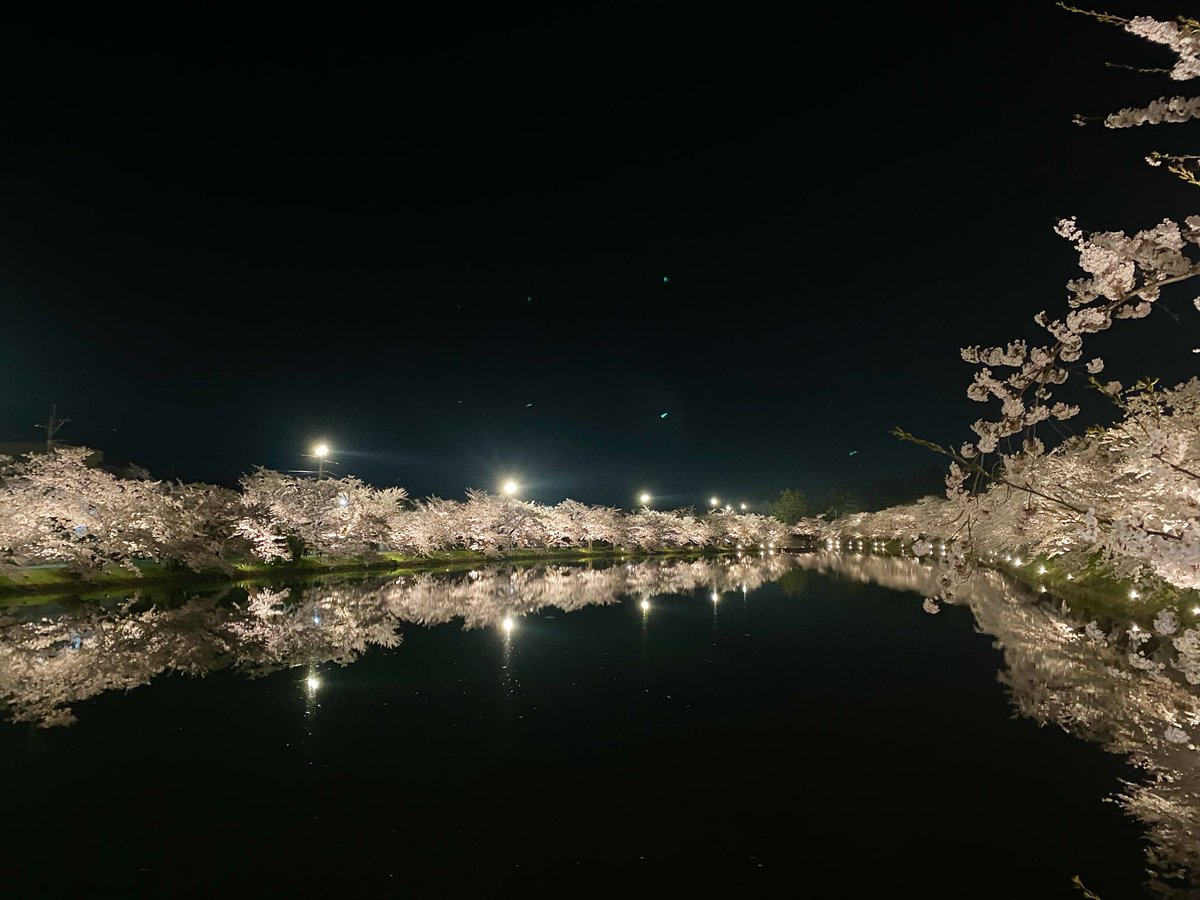 破薇闇 想碧蘿🌹まな tweet media