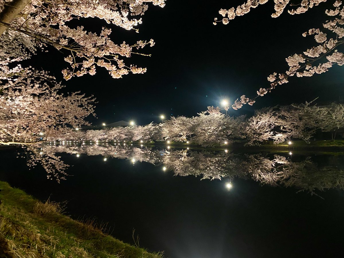 破薇闇 想碧蘿🌹まな tweet media