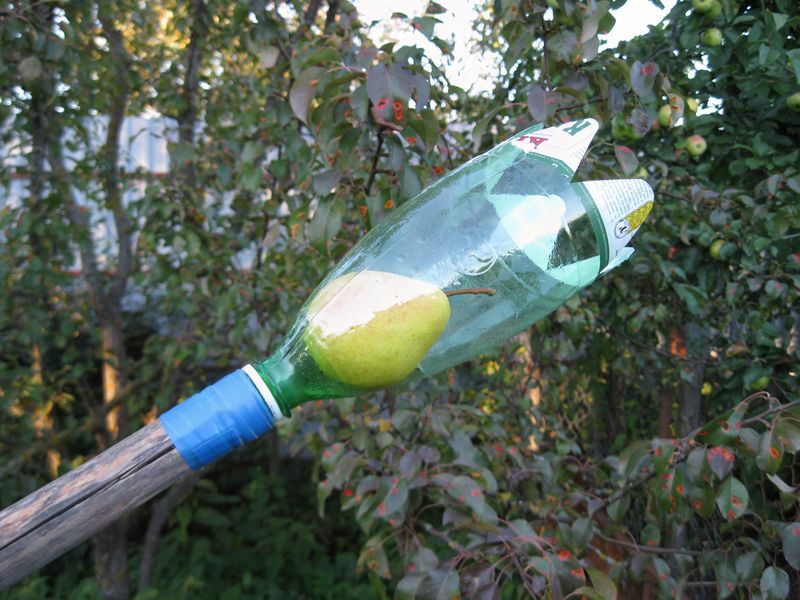 ***SARCASM*** tweet media