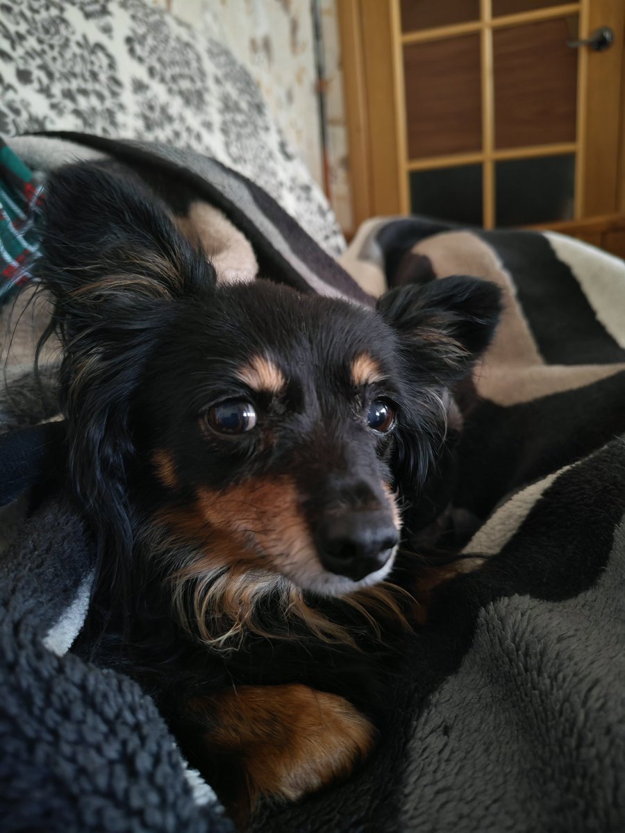 зови меня cosmos детка tweet media